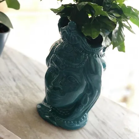 度假居 Amarea 切法卢